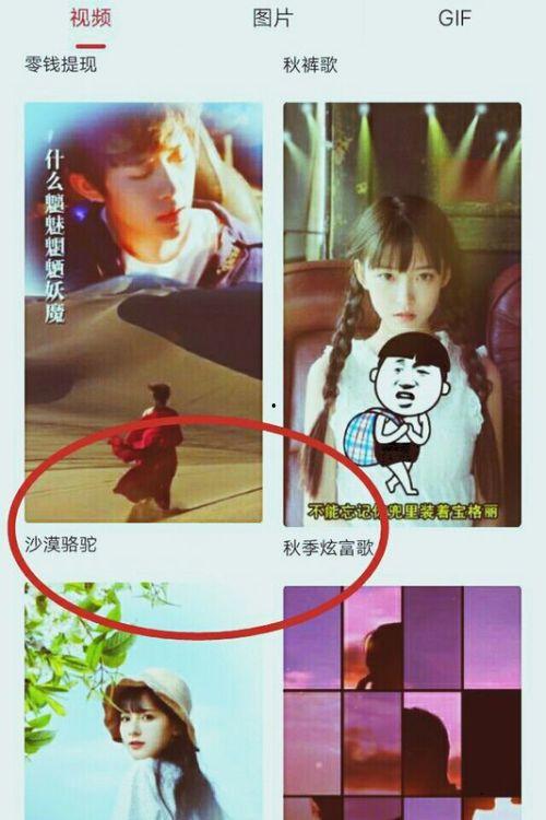 怎么爆料自己拍的视频,如何巧妙爆料你的原创视频内容  第3张