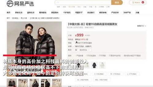 爆料大鹅解说视频网易版,揭秘游戏幕后故事与精彩瞬间  第2张