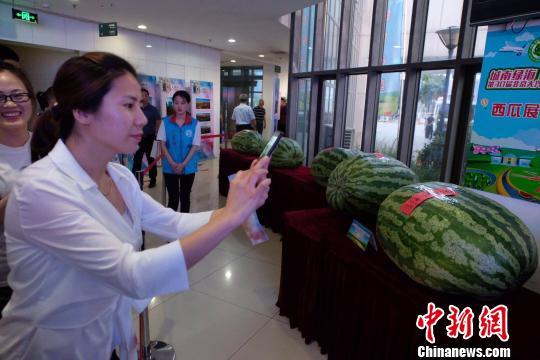 威远吃瓜最新事件爆料新闻,最新爆料揭露惊人内幕 第3张 威远吃瓜最新事件爆料新闻,最新爆料揭露惊人内幕 第3张